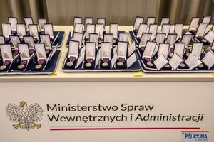 Medale im. podkom. Andrzeja Struja.