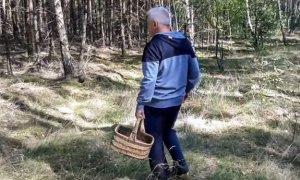 Mężczyzna w lesie zbierający grzyby